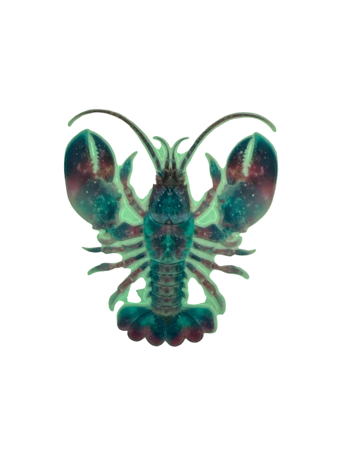 15oz GLOW IN THE DARK UV DTF Lobster Transfer #640