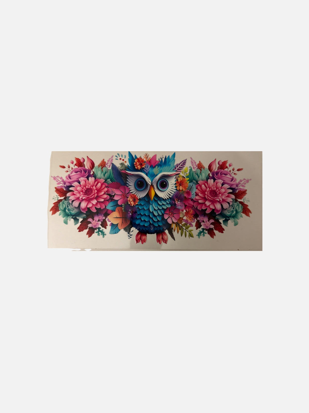 Owl White Eyes 16oz UV DTF Decal Transfer #764